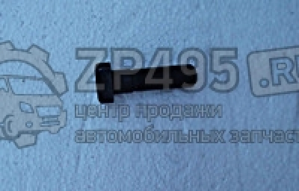 : 6501404 0014649     /   31105 . (, ,,,,, , NEXT, NEXT) novokuznetsk.zp495.ru
