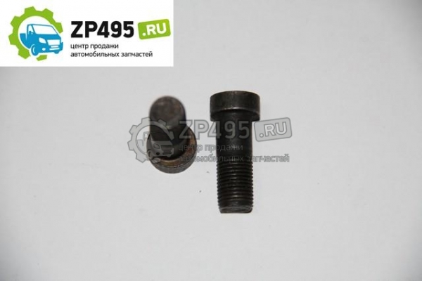 �������: 242403034 �0005582 ���� �10*28/26*1 �������� ���.����� ��� ���������� ����� 3110 