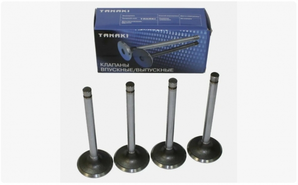 : TKG100701560 0003214   -2410,  Next .EvoTech 2.7 (939)  4.   (, ,,,,, , NEXT, NEXT) novokuznetsk.zp495.ru