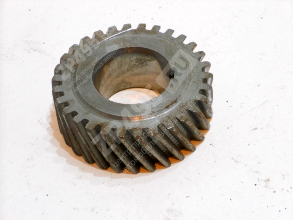 �������: 13100503102 �0003453 �������� ���-53 ��������� ����������������� (��� ���). 