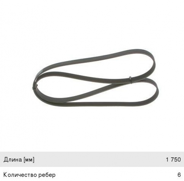 : 6PK1750 0015288   -31105,  .  (6PK-1750) DARWIN (, ,,,,, , NEXT, NEXT) novokuznetsk.zp495.ru