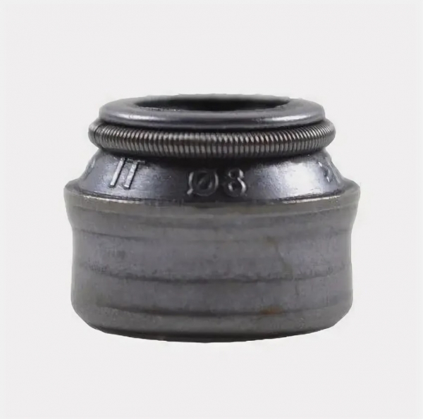 : A2741007026 0020886  -3302,  Next .-4216, EvoTech  (, ,,,,, , NEXT, NEXT) novokuznetsk.zp495.ru