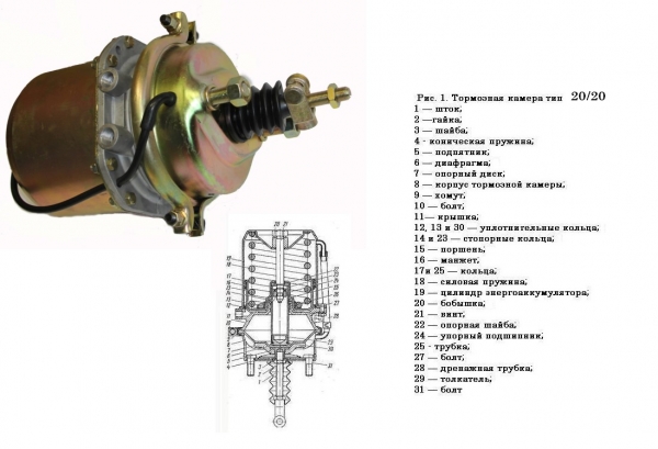 : 100351910010 0038216   20/20    novokuznetsk.zp495.ru